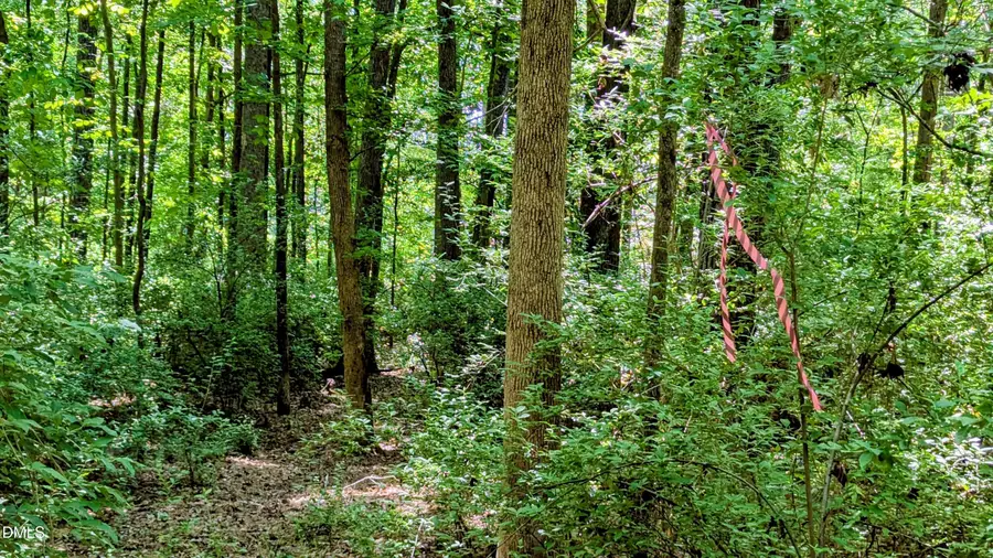 Lot 1 Blueberry Lane, Chapel Hill, NC 27516 - #2