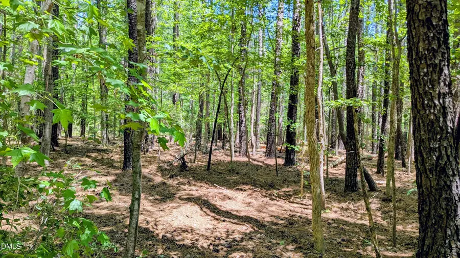 Lot 1 Blueberry Lane, Chapel Hill, NC 27516 - #3