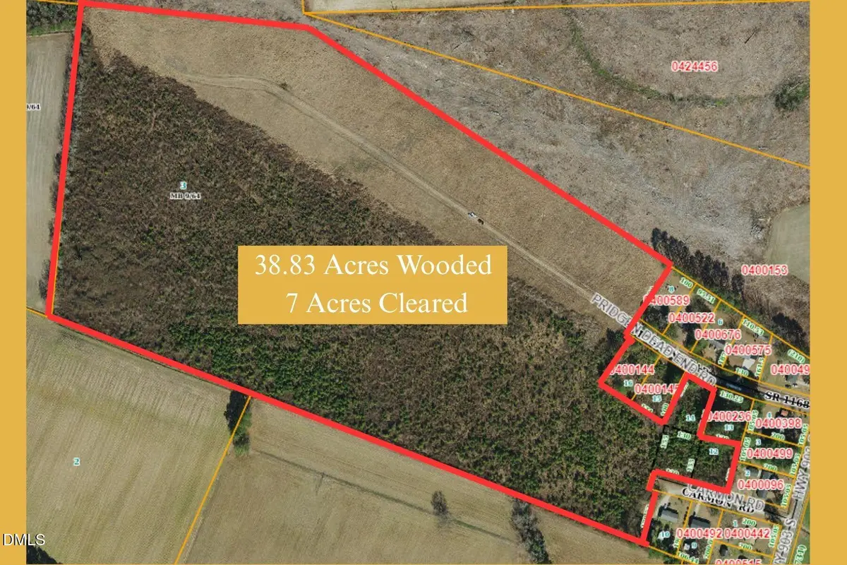 Tbd Pridgen Dead End Road, La Grange, NC 28551 - #1