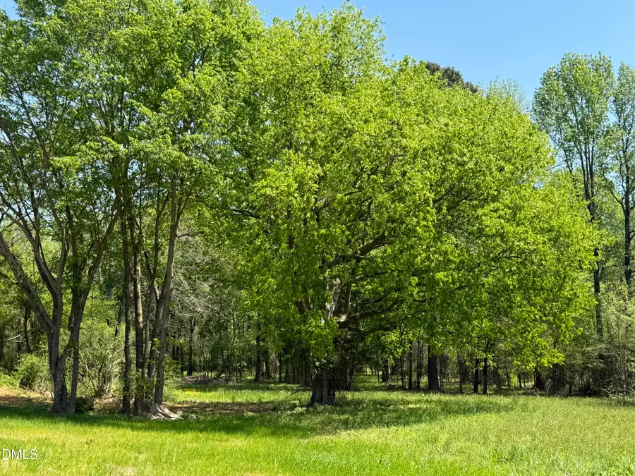 5545 Silk Hope Gum Spring Road, Siler City, NC 27344 - #2