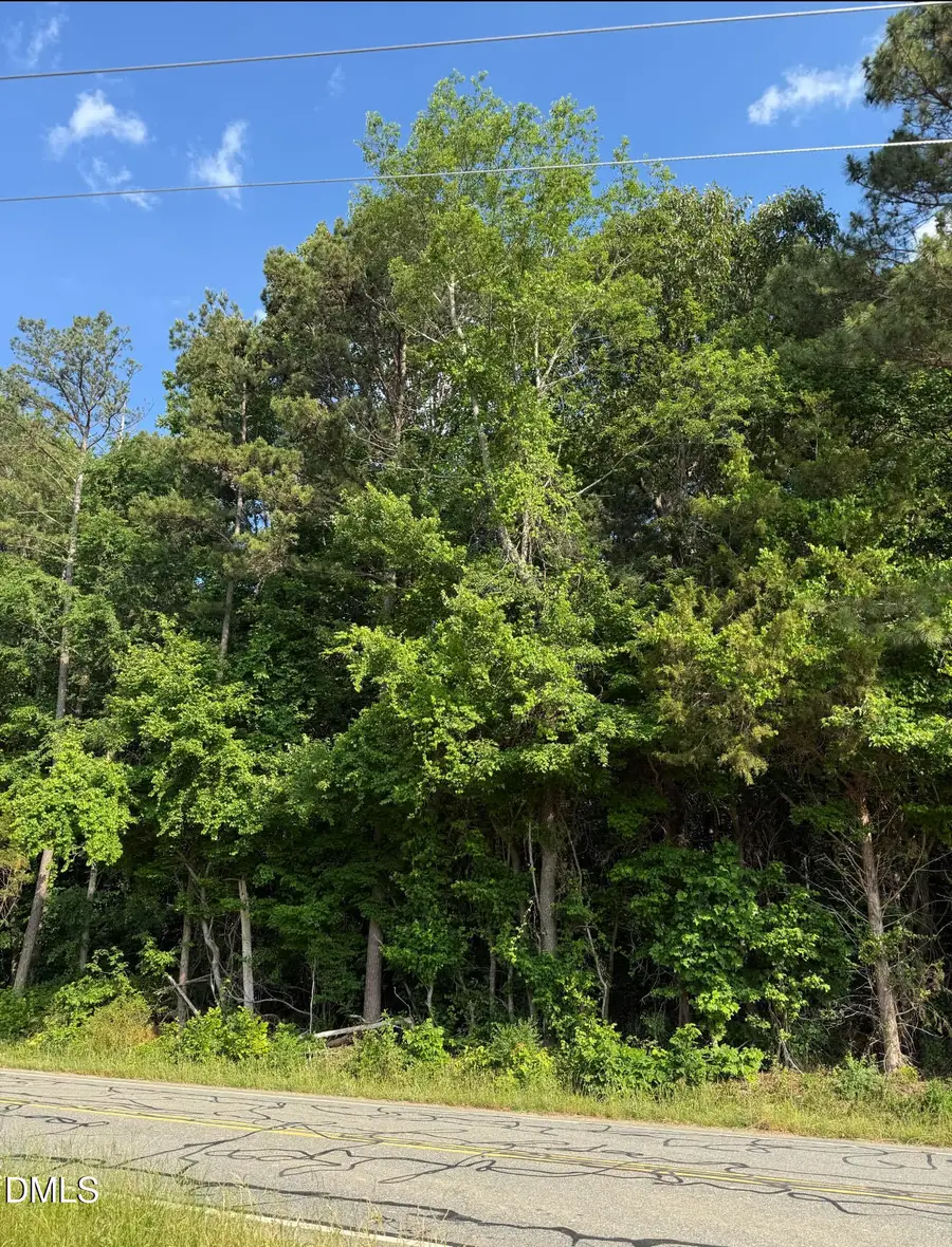 0 Jessie Bridges Road, Siler City, NC 27344 - #2