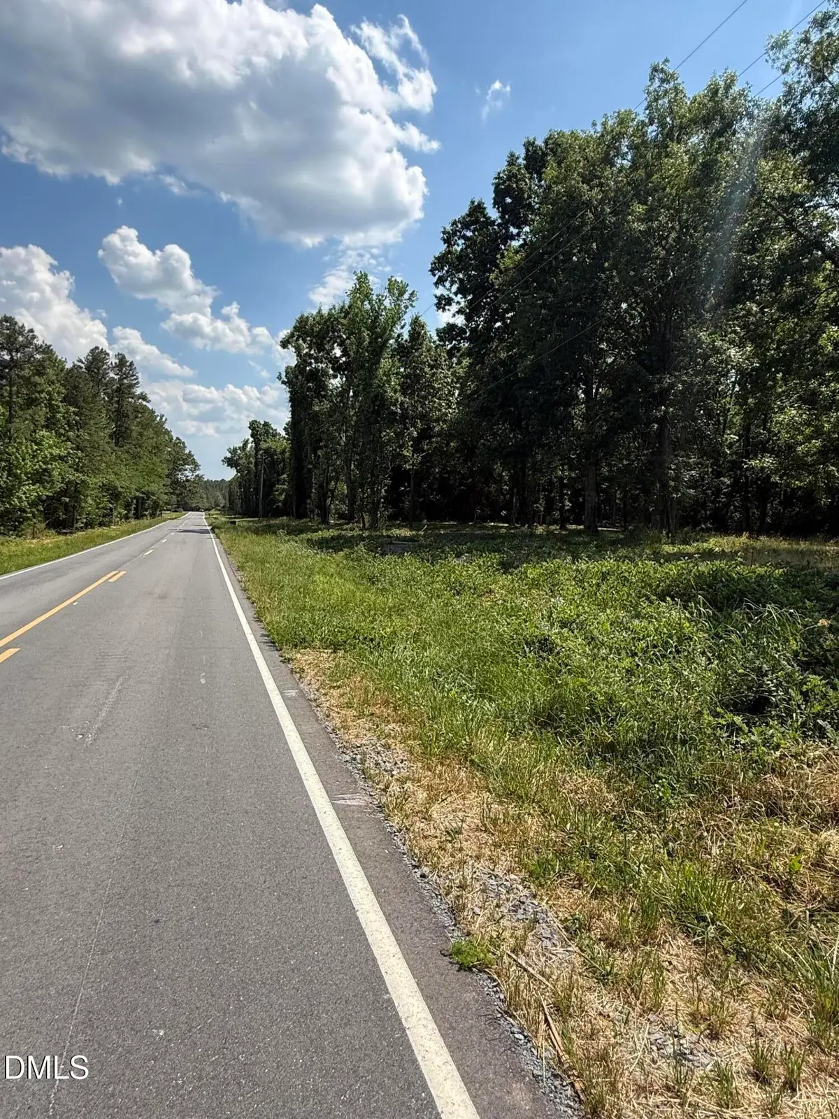 11 Mary Emma Drive, Goldston, NC 27252 - #1