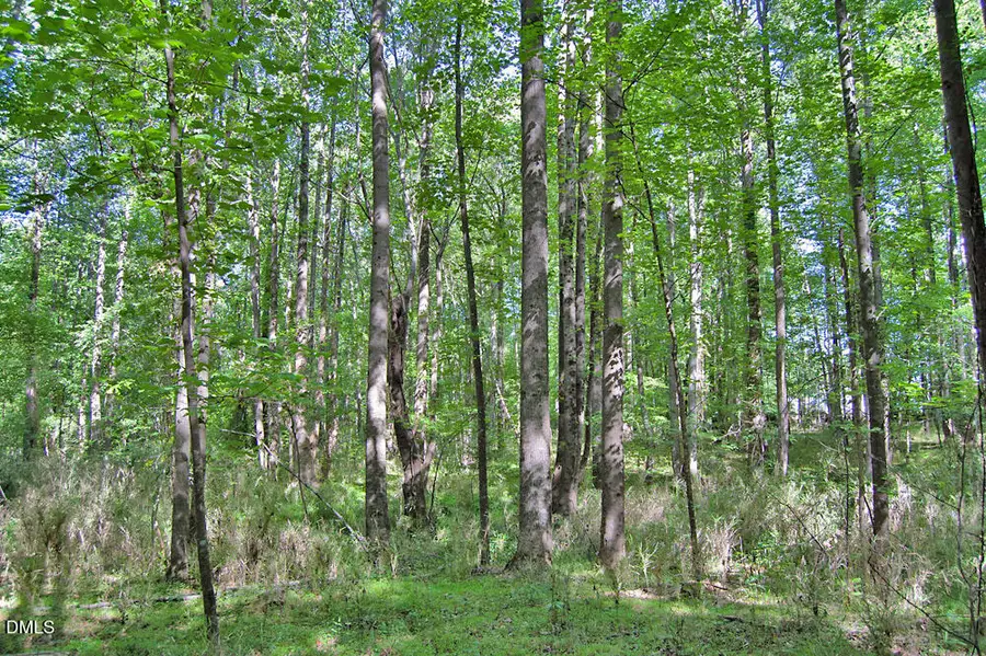 5305 Panther Creek Drive, Raleigh, NC 27603 - #2