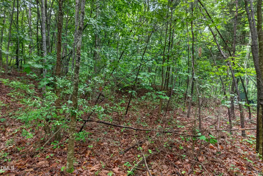 235 Eagle Drive, Louisburg, NC 27549 - #2