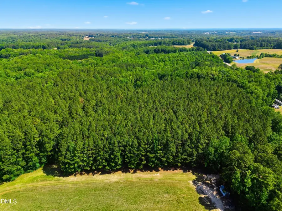 9.97 Acres S Hwy 39, Zebulon, NC 27597 - #2