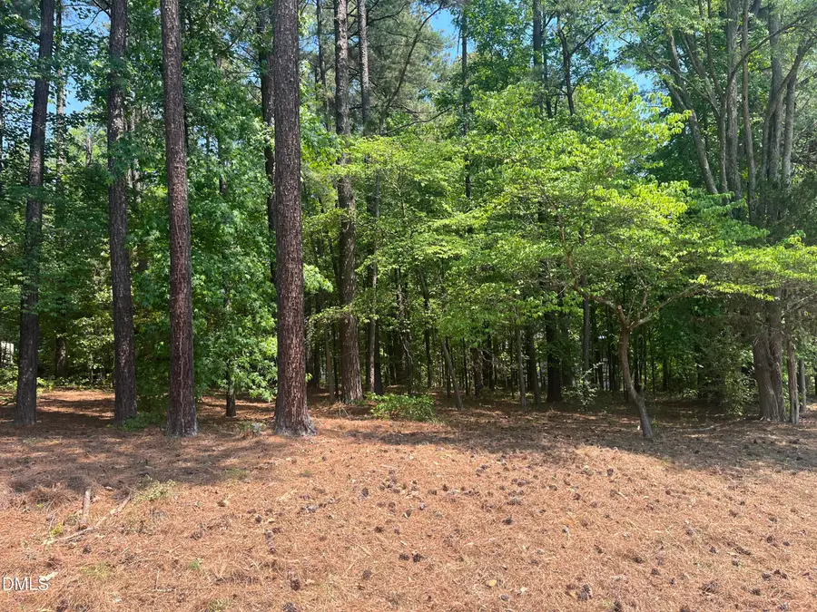 106 Spring Blossom Lane, Durham, NC 27705 - #2