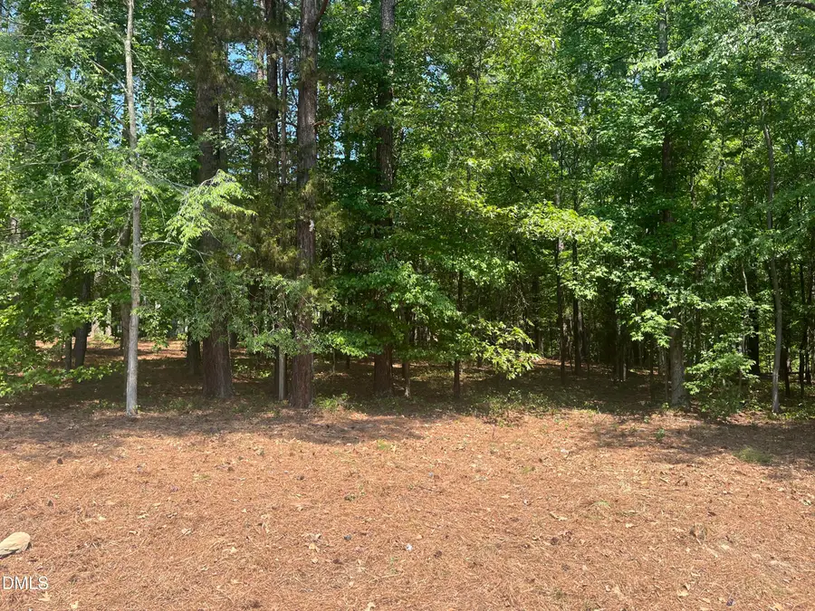 106 Spring Blossom Lane, Durham, NC 27705 - #3