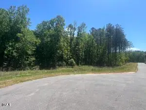 40 Downes Trail, Selma, NC 27576 - #2