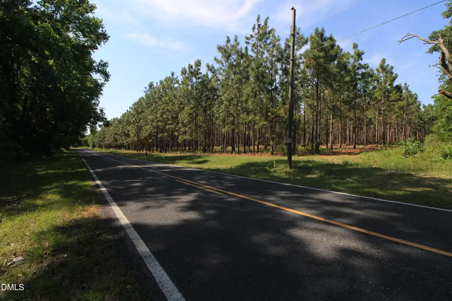 0 Johnson Pond Road, Red Springs, NC 28377 - #3