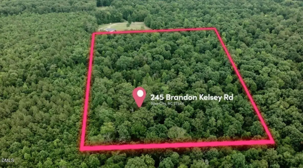 245 Brandon-kelsey Drive, Siler City, NC 27344 - #1