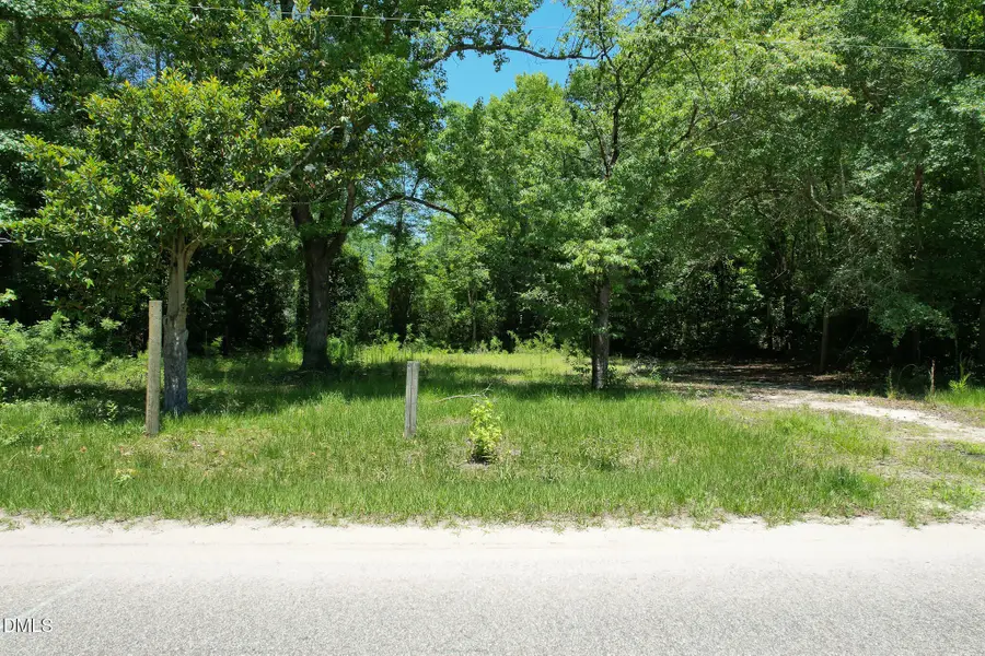 275 Hamer Street, Fair Bluff, NC 28439 - #2