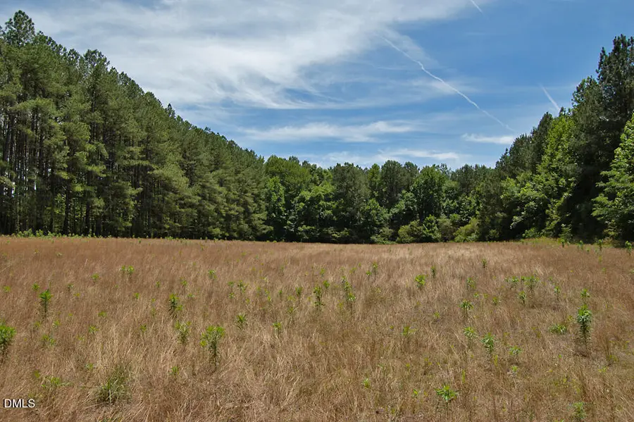 B G F Ball Road, Louisburg, NC 27549 - #2