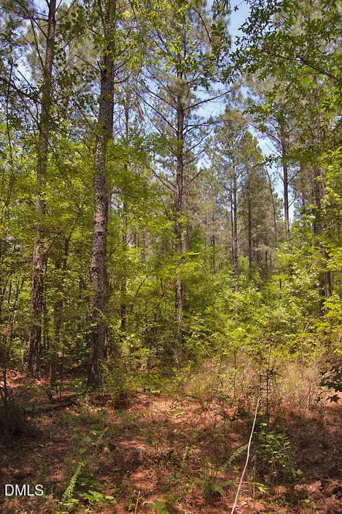 E G F Ball Road, Louisburg, NC 27549 - #3