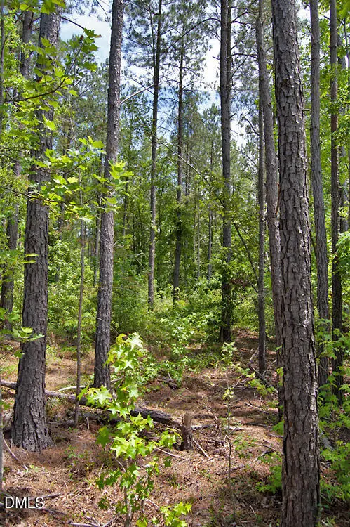 I G F Ball Road, Louisburg, NC 27549 - #1