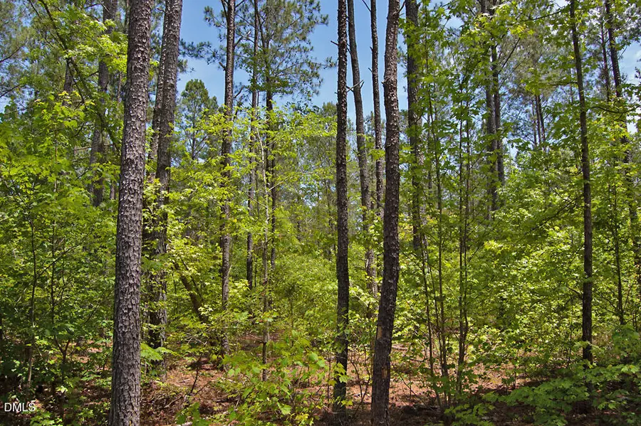 M G F Ball Road, Louisburg, NC 27549 - #2