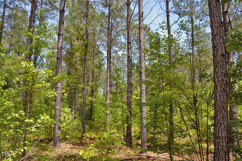 C G F Ball Road, Louisburg, NC 27549 - #1