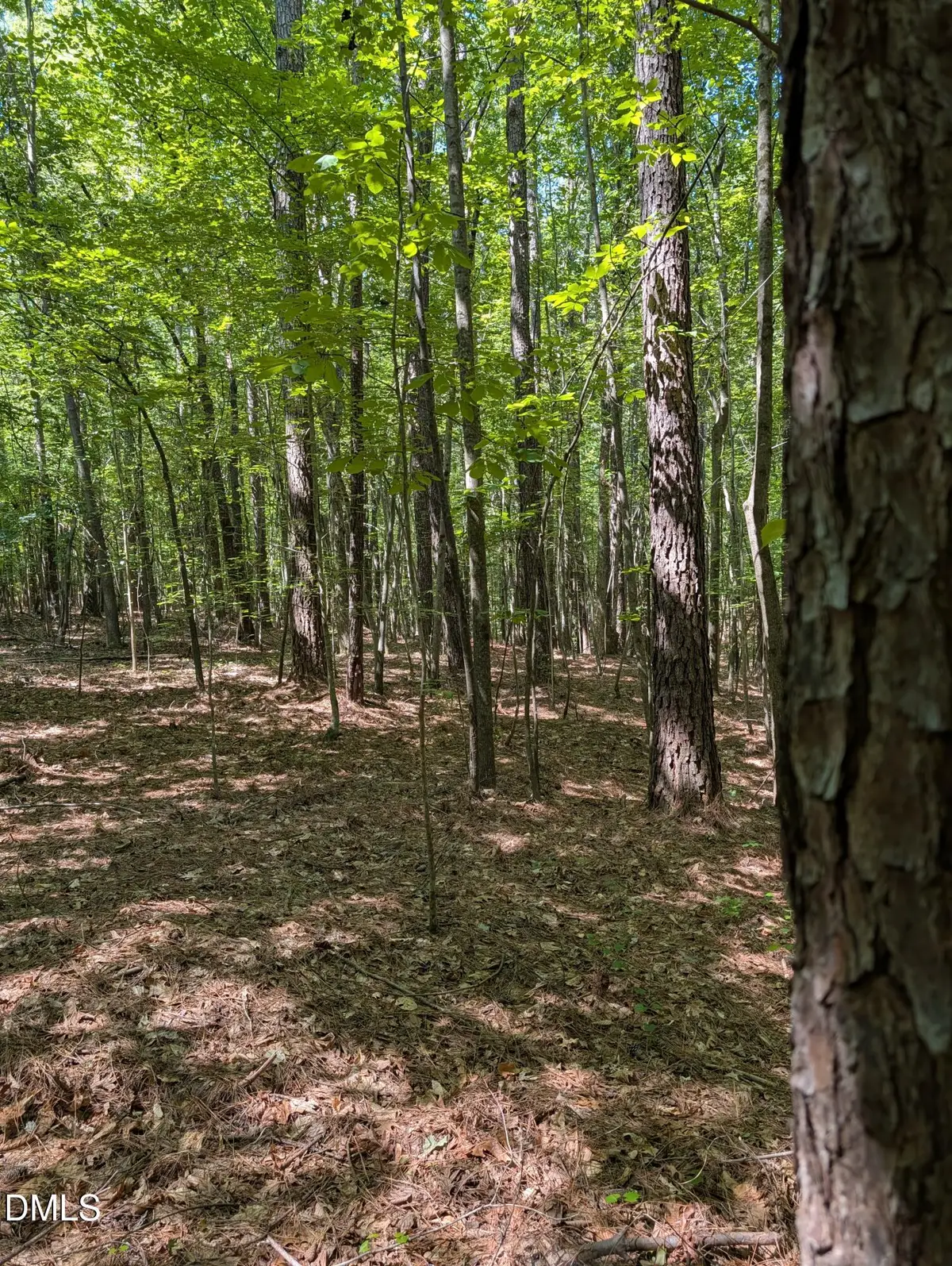 Tract B2 Thelma Road, Roanoke Rapids, NC 27870 - #1