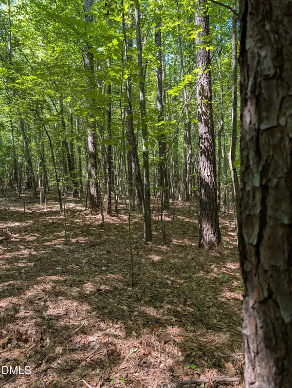 Tract B2 Thelma Road, Roanoke Rapids, NC 27870