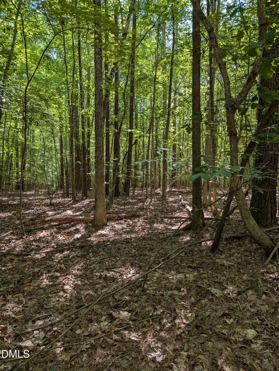 Tract B2 Thelma Road, Roanoke Rapids, NC 27870 - #3