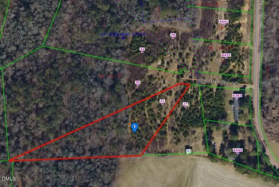 31 Woods Hill Lane, Benson, NC 27504 - #1