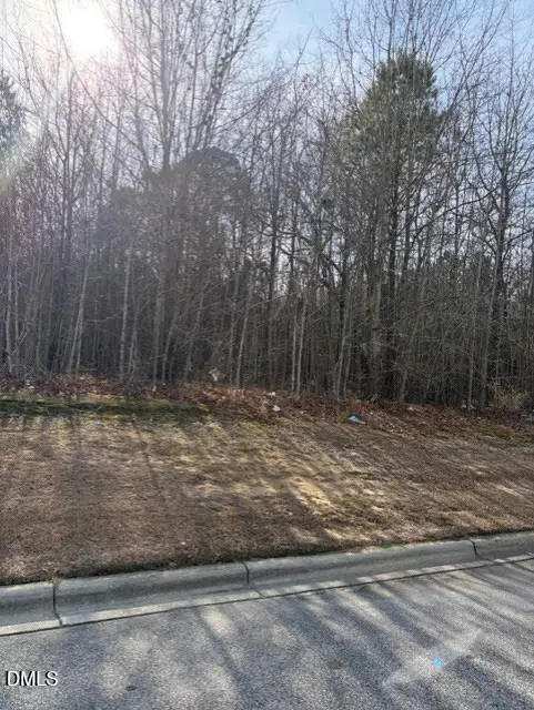 206 Hope Street, Erwin, NC 28339 - #2