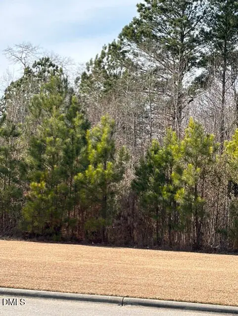 0 Saint Matthews Road, Erwin, NC 28339 - #2