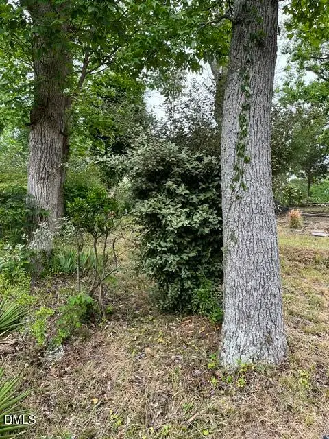 531 Homeland Avenue, Durham, NC 27707 - #3