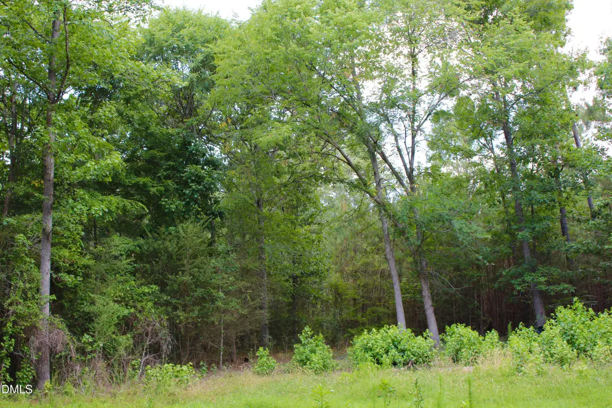 1920 Alston Chapel Road, Pittsboro, NC 27312 - #1