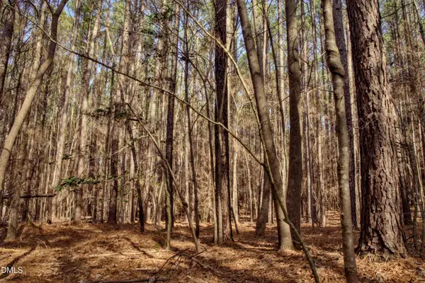 7023 Southern Trail, Chapel Hill, NC 27516