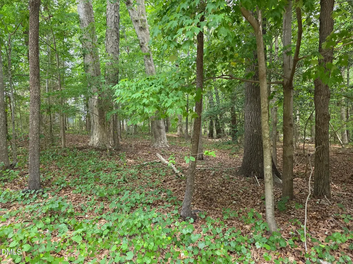 4901 Bluebird House Lane, Raleigh, NC 27616 - #1