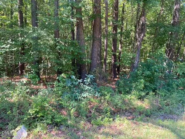 4030 Dooster Street, Oxford, NC 27565 - #1