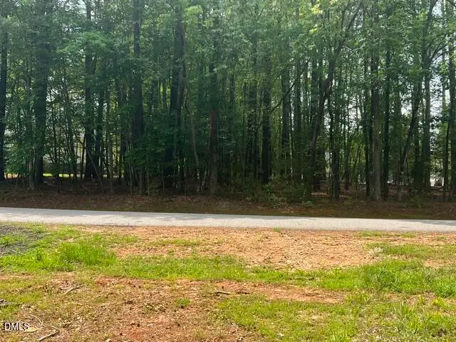 190 Buckaroo Drive, Louisburg, NC 27549 - #2