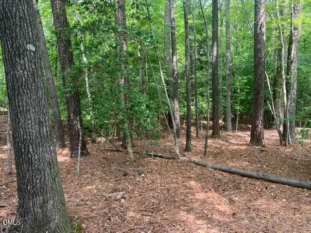 190 Buckaroo Drive, Louisburg, NC 27549 - #3