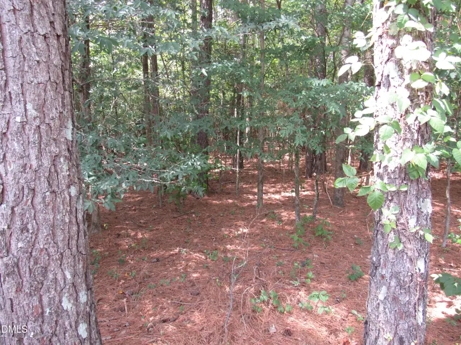 45 Mayodan Lane, Franklinton, NC 27525 - #3