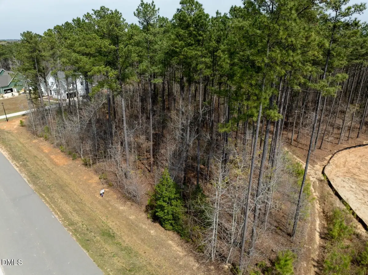250 Whistlers Cove, Louisburg, NC 27549 - #1