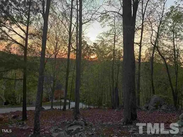 39410 Glenn Glade, Chapel Hill, NC 27517 - #3