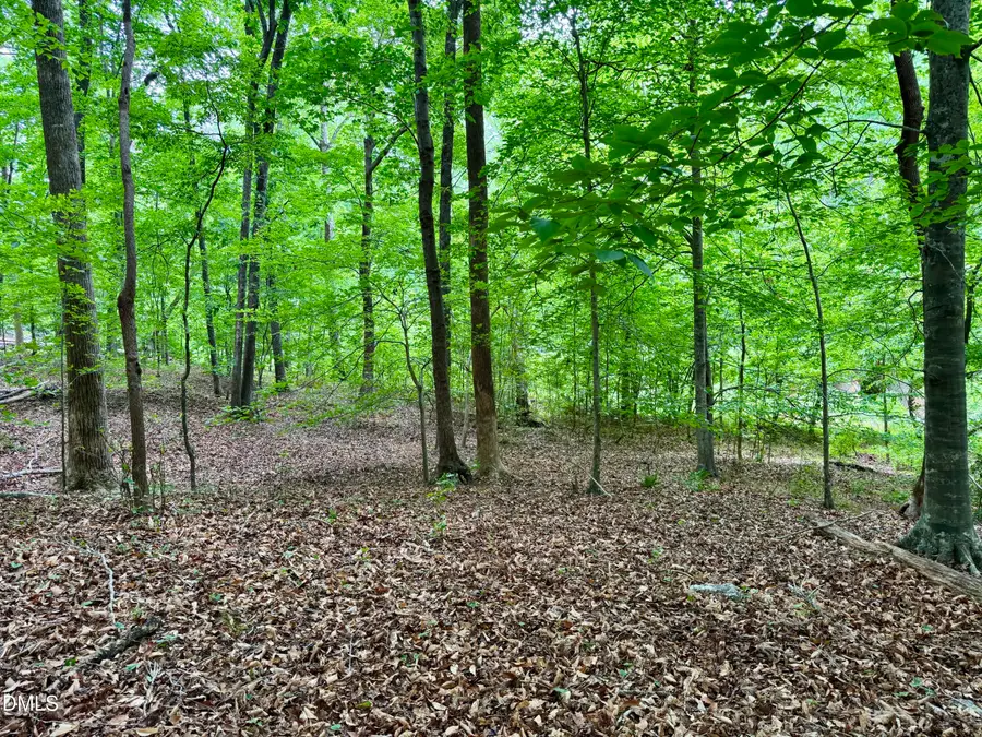 1025 Dairyland Road, Chapel Hill, NC 27516 - #3