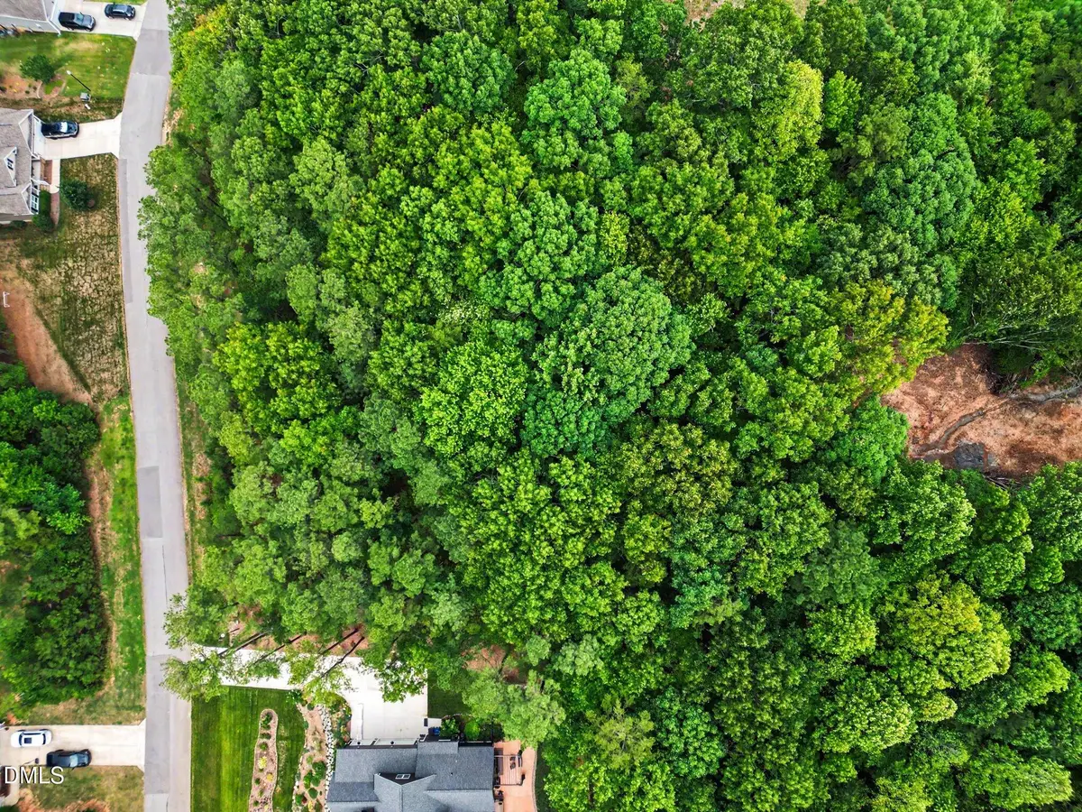 9004 Patmos Way, Wake Forest, NC 27587 - #1