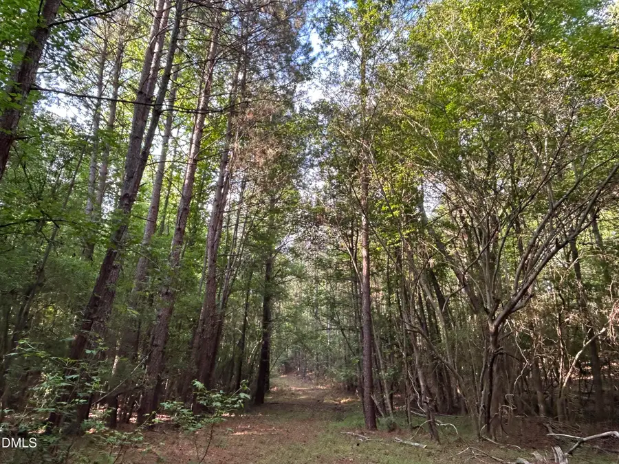 0 Beaver Dam Road, Creedmoor, NC 27522 - #2