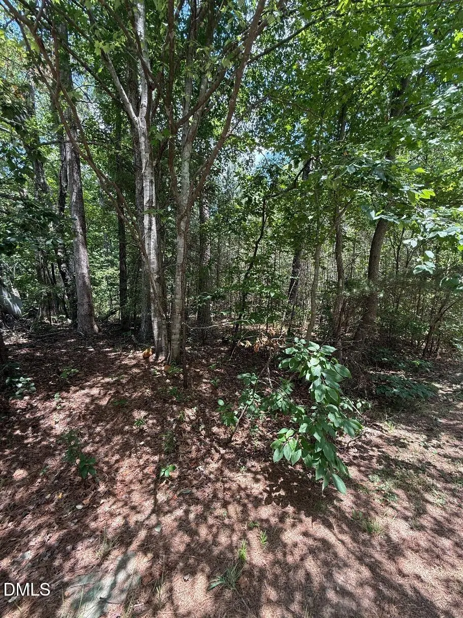 7801 Grand Lillie Drive, Durham, NC 27712 - #1