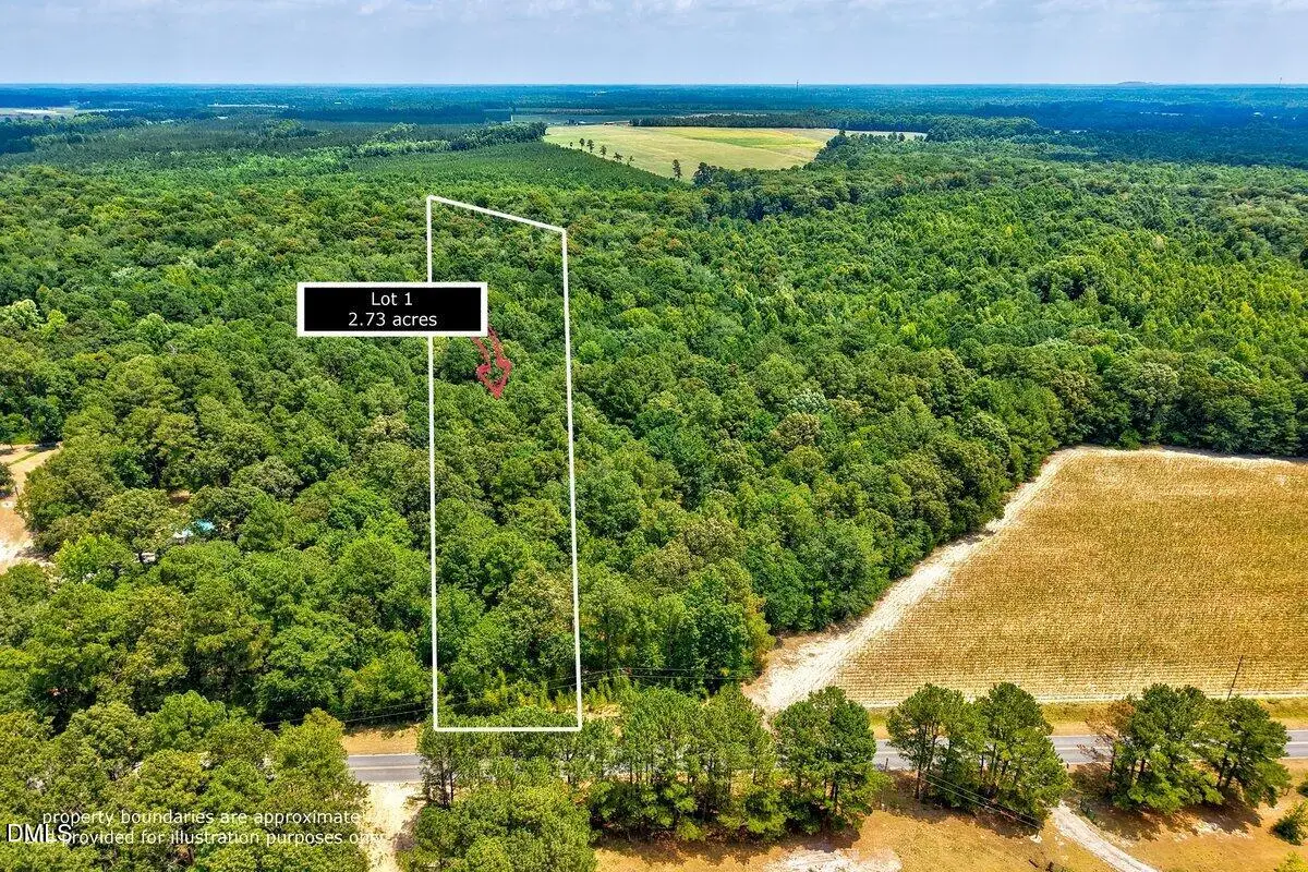 Lot 1 Ruth Vinson Road, Autryville, NC 28318 - #1