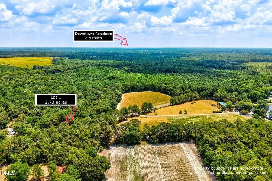 Lot 1 Ruth Vinson Road, Autryville, NC 28318 - #2