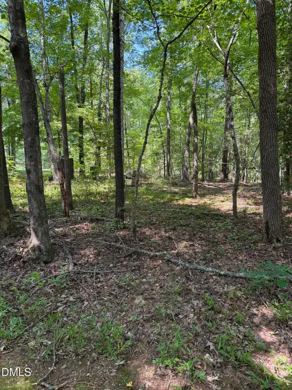 153 Omaha Drive, Louisburg, NC 27549