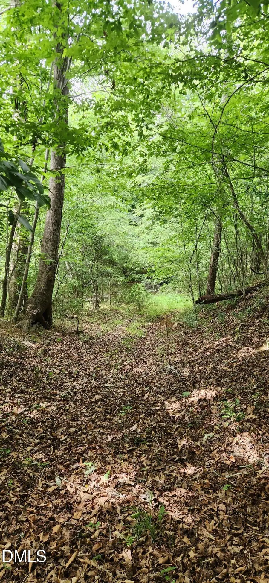 0 Helena Moriah Road, Timberlake, NC 27583 - #2