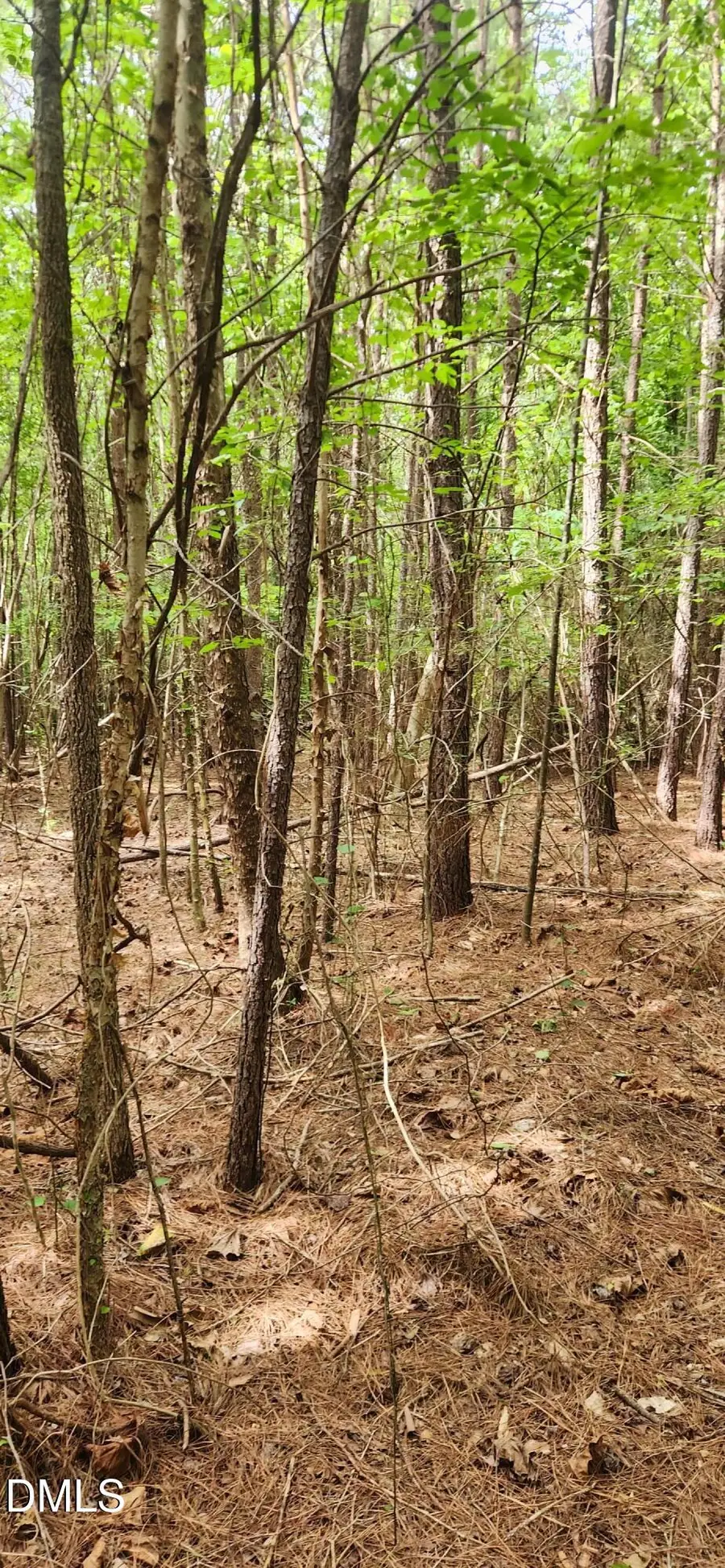 0 Helena Moriah Road, Timberlake, NC 27583 - #3