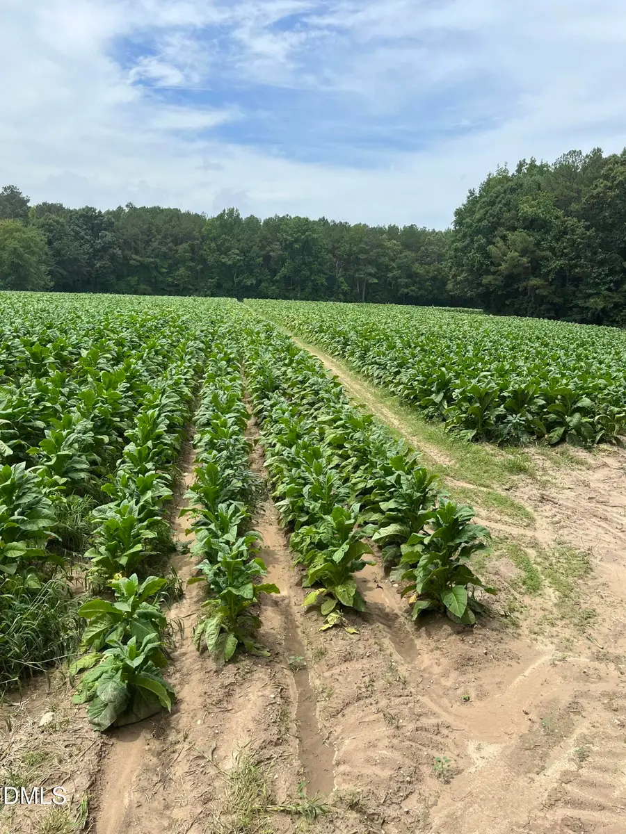 0 Off W Old Spring Hope Road, Middlesex, NC 27557 - #3