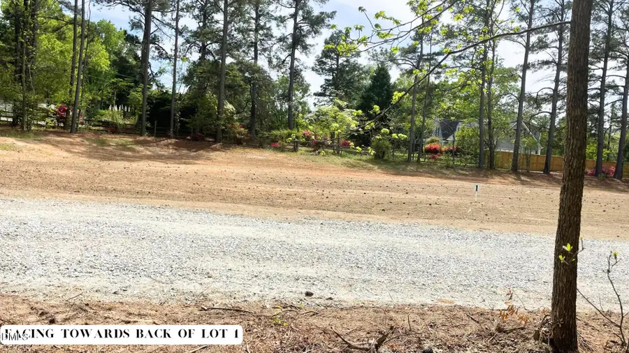 55 Weston Sky Ln, Fuquay Varina, NC 27526 - #3
