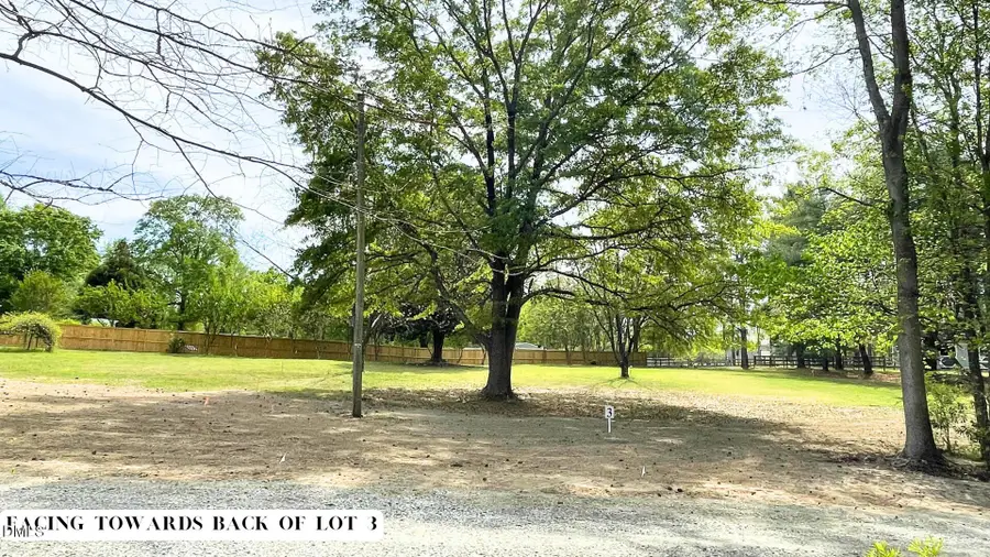 155 Weston Sky Ln, Fuquay Varina, NC 27526 - #2