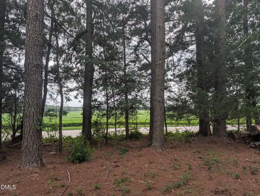 Tbd Peach Orchard Road, Louisburg, NC 27549 - #2
