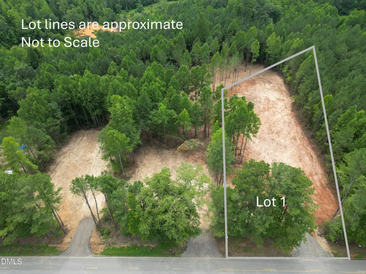 2346 Peachtree Hills Road, Spring Hope, NC 27882 - #1